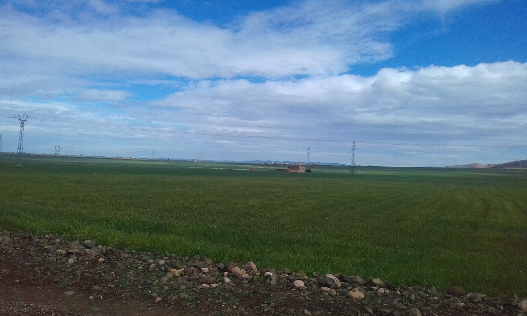 Grand terrain titré agricole 75 ha à 64 km de Marrakech