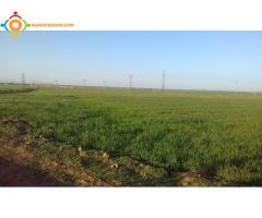 Grand terrain titré agricole 75 ha à 64 km de Marrakech