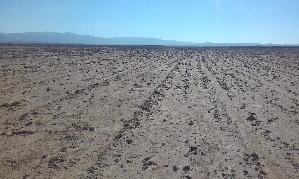 Grand terrain agricole de 256 hectares à Chichaoua