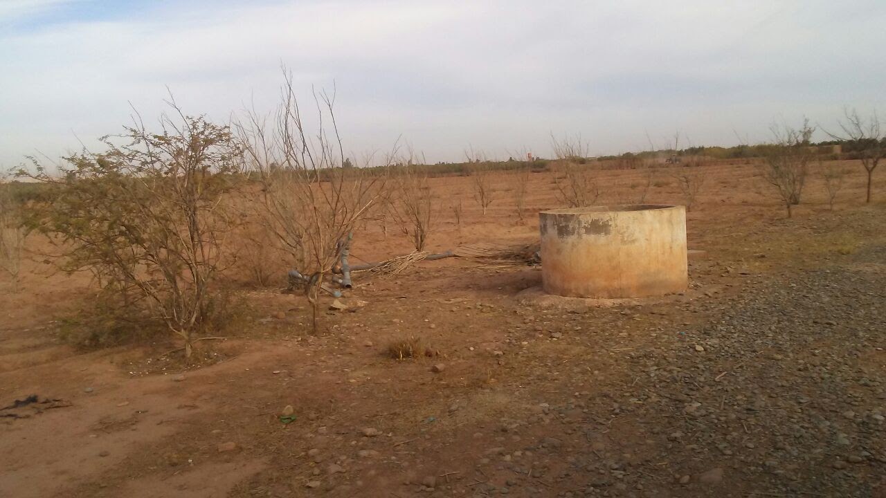 Terrain agricole à vendre à kalaa sraghna