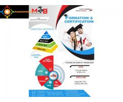 Certification en Excellence Opérationnelle (Lean management et Lean Six Sigma)