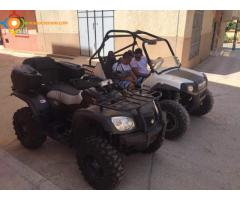 BUGGY 850 RZR POLARIS 2014