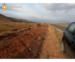 Terrain agricole 2 hectares ارض فلاحية