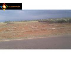 Terrain agricole 2 hectares ارض فلاحية