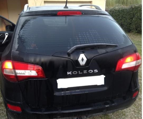 Koléos Koléos