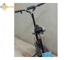 Scooter Electrich 1000W