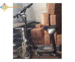 Scooter Electrich 1000W
