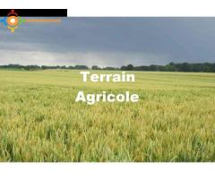 Terrain agricole a vendre
