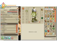 Compte Dofus Xelor 200 - Iop 199