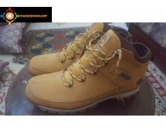 TIMBERLAND