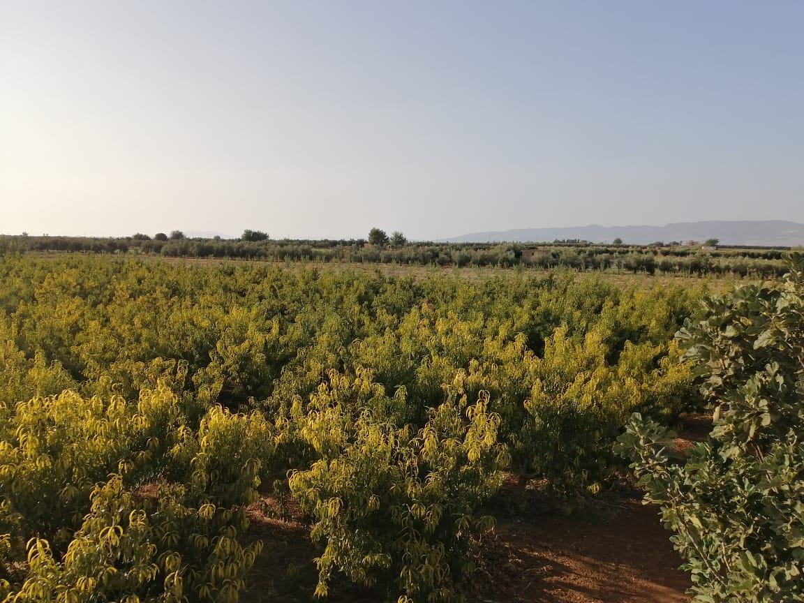 Ferme équipée a vendre a 10 min de meknes