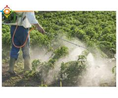 créer votre projet agricole et ferme moderne