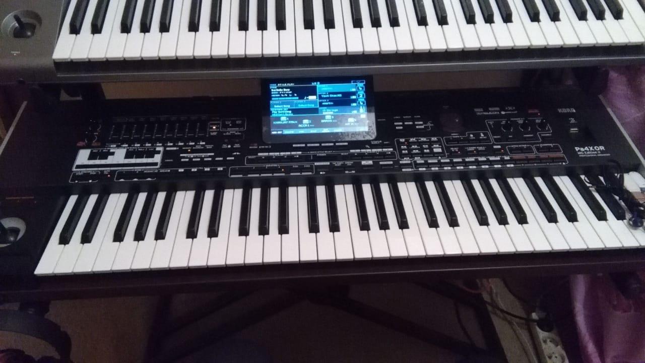 Korg pa4x mg2