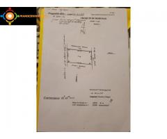 500 m² titré à Ourika