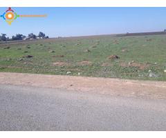 Vente terrain à partir de 1ha à Casablanca zone industrielle