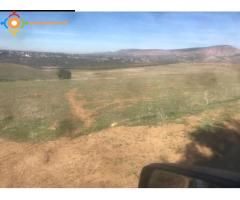 Terrain de 75 hectares à Meknès