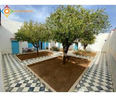 Terrain de 75 hectares à Meknès