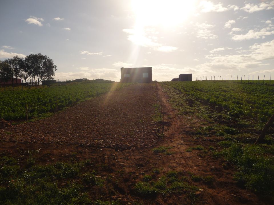 terrain agricole et maison