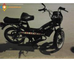 motor swing