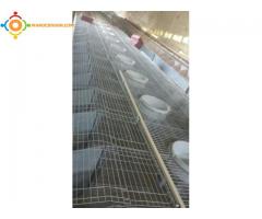 vente materiel d'élevage des lapins en promotion