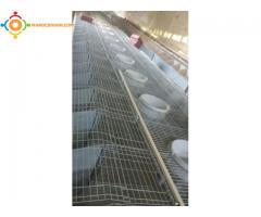 vente materiel d'élevage de lapins en promotion
