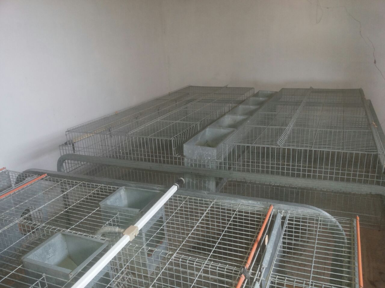vente des cages pour les lapins d'importation