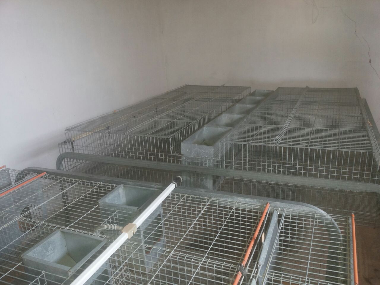 vente de cages pour les lapins d'importation