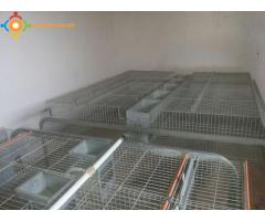 vente de cages pour les lapins d'importation