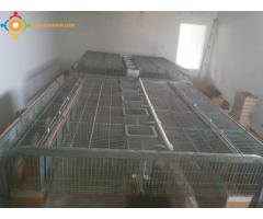 vente de cages pour les lapins d'importation