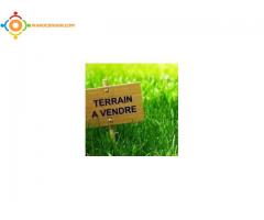 terrain a vendre casa