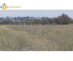 terrain tizgane
