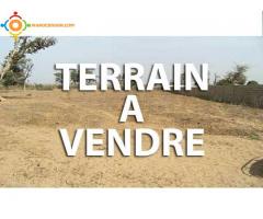 terrain a vendre