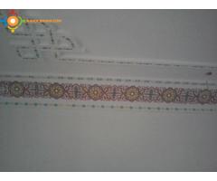 travaux de la peinture batiment