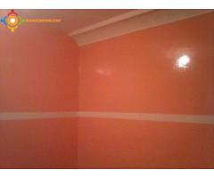 travaux de la peinture batiment