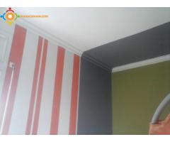 travaux de la peinture batiment