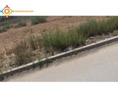 Terrain/Ferme de 130 m2 à Berkane