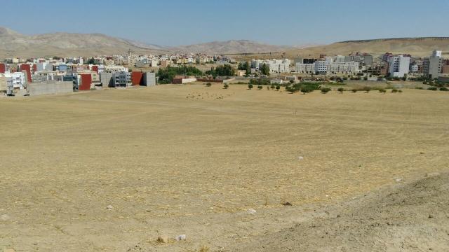 Terrain titré de 10 ha pour lotissment