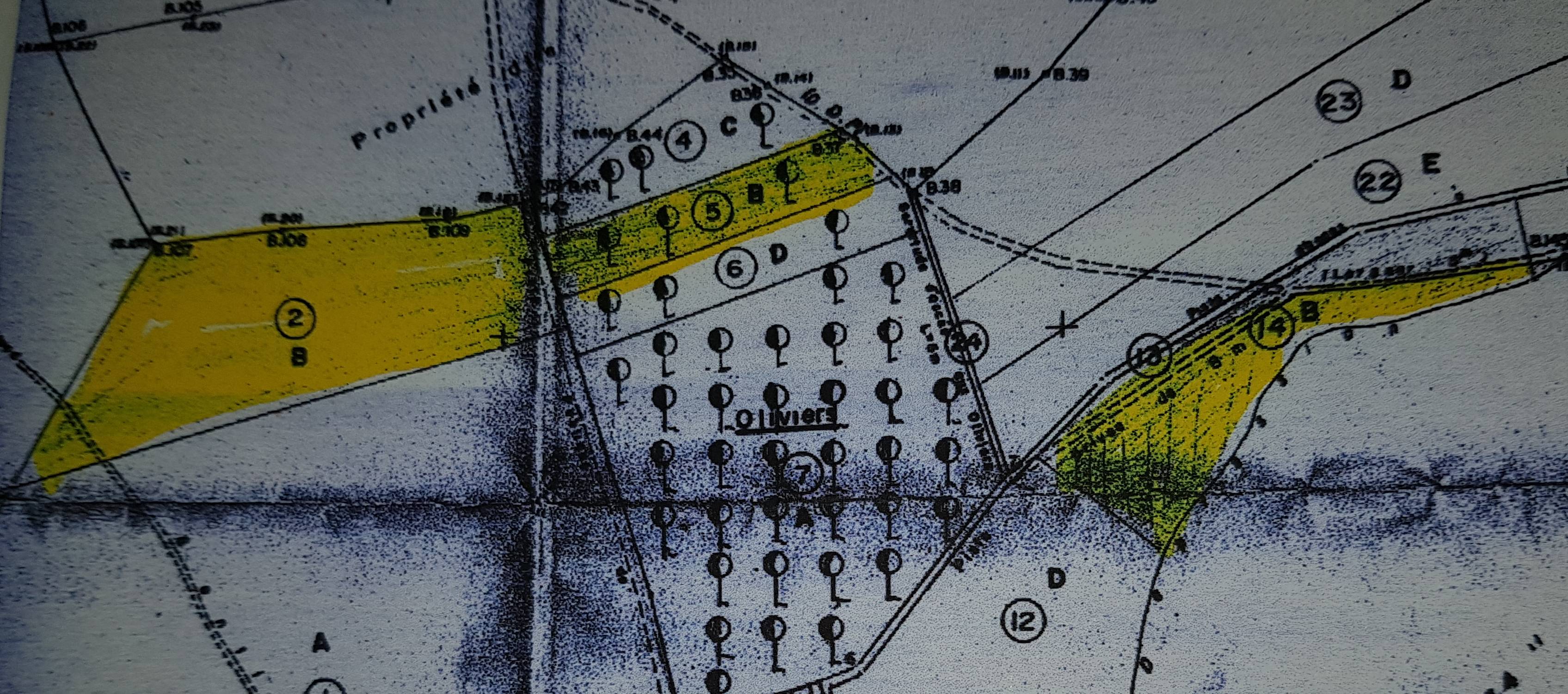 Vente terrain agricole de 12,5 ha titré