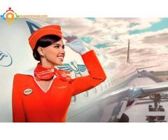 formation hôtesse de l'air /steward /hospitalité