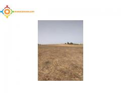 3 hectares  a vendre region tiflet