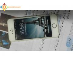 iphone 5 s 16g gold
