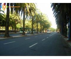 terrain a casablanca sur boulevard Ghandi.