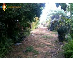 Pépiniére a Rabat Sidi Tayeb