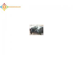 Fiat Punto Diesel tt options 2009