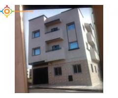 Location appartement à settat