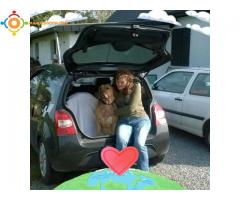 vend hyundai getz avec attache remorque ET remorque