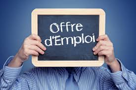 Offre d'emploi : Livreur/Aide livreur