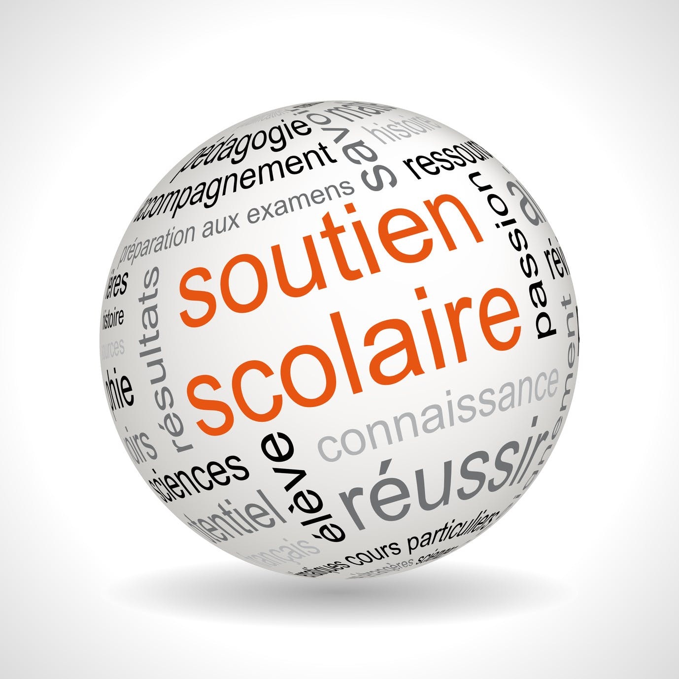 Soutien scolaire et universitaire