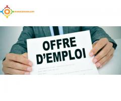 Offre d'emploi : Livreur