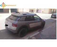 C4 cactus shine tte options mod 2016